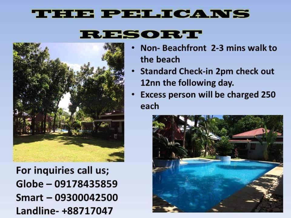 The Pelicans Resort Batangas Zewnętrze zdjęcie